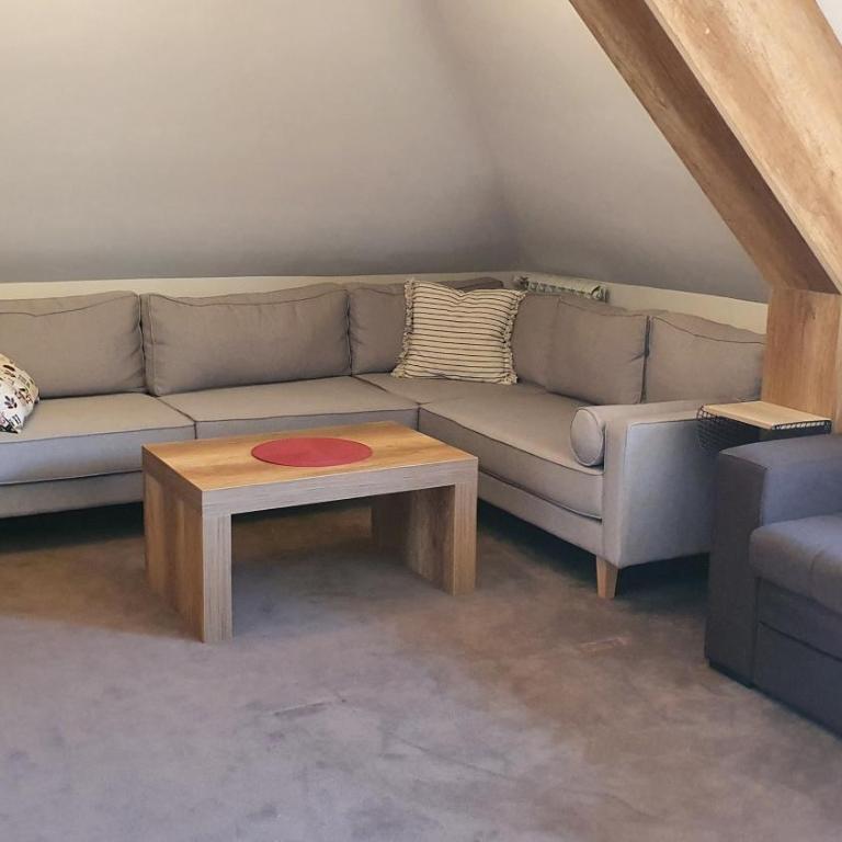 Apartman Gvozdac, Župa - Kopaonik - Apartman sa 1 Spavaćom Sobom - 3