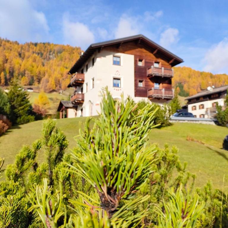 Appartamenti Bait da Erich - Appartamento con Vista Giardino - 6