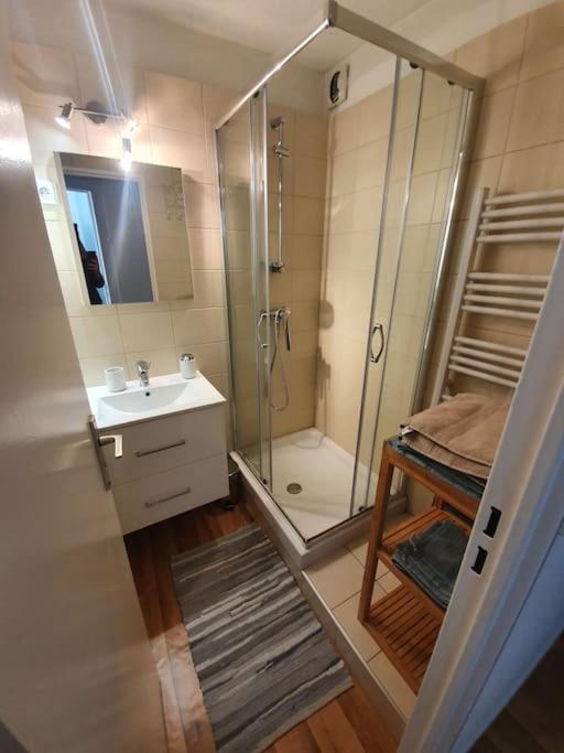 Superbe 2 pièces, centre vue Mont-Blanc avec balcon et parking gratuit - Appartement 1 Chambre - 14