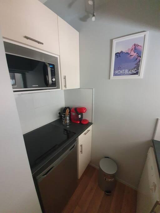 Superbe 2 pièces, centre vue Mont-Blanc avec balcon et parking gratuit - Appartement 1 Chambre - 8