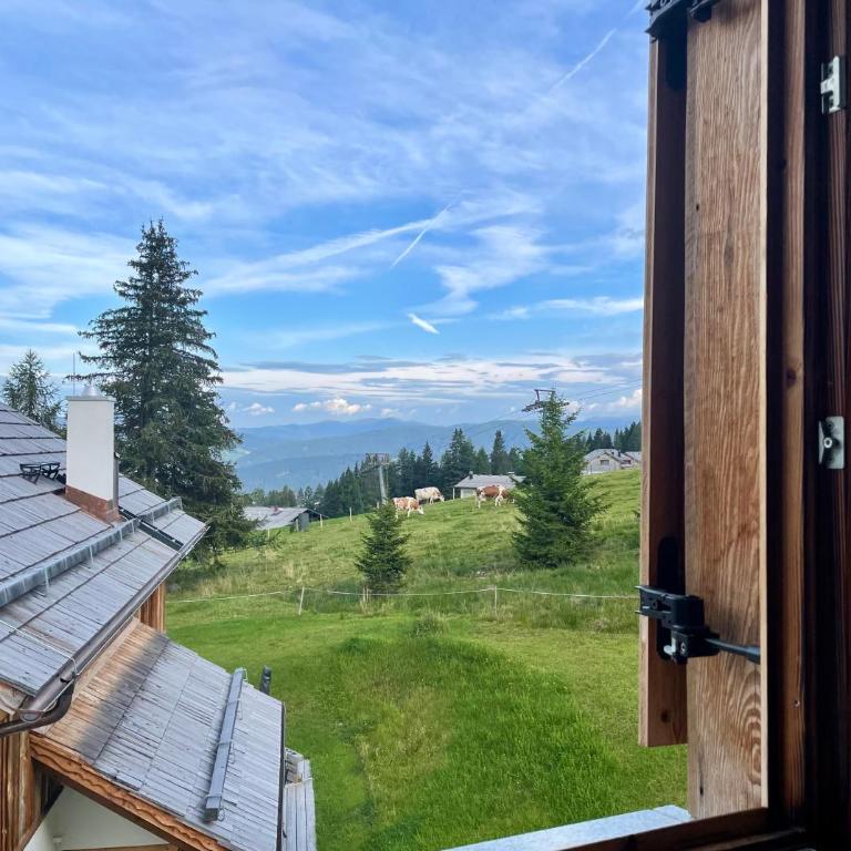 Almdorf Omlach, Fanningberg - Chalet 3 Chambres - 2