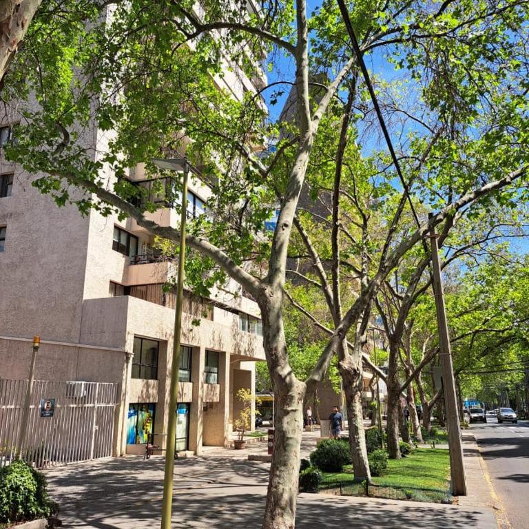 depto El Golf - One-Bedroom Apartment - 25