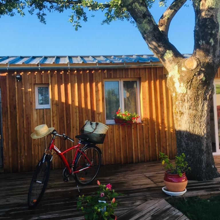 les petits chalets de kzo - Chalet mit 2 Schlafzimmern - 19