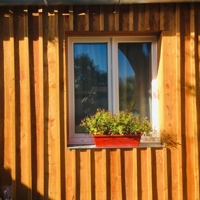 les petits chalets de kzo - Chalet mit 2 Schlafzimmern - 17