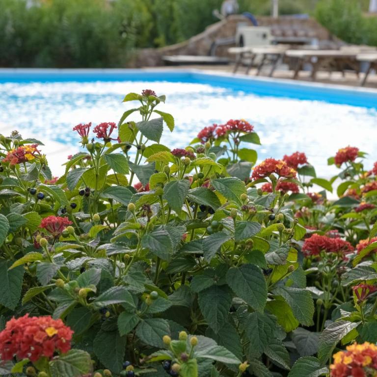 Capannizza Villas - Villa con Piscina Privata - 14