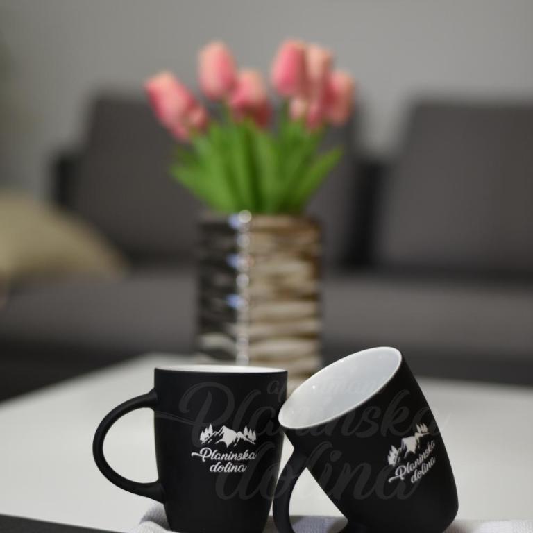 Planinska dolina - One-Bedroom Apartment - 15