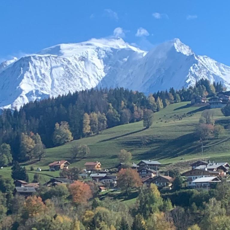 CHALET MONT BLANC - Chalet Supérieur - 19