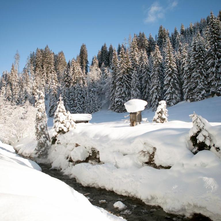 vomLandl Natur Lofts & Apartments Leogang - Haus mit 3 Schlafzimmern - 26