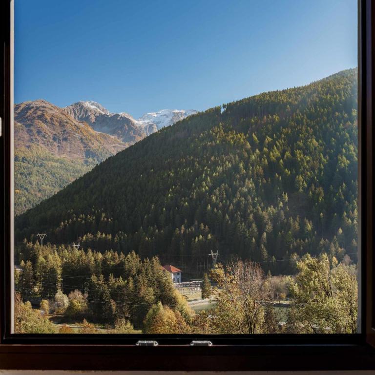 Hotel Garnì Alta Valle - Camera Doppia con Letti Singoli - 2