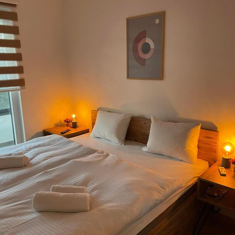 V5 Apartments - Two-Bedroom Apartment - 1