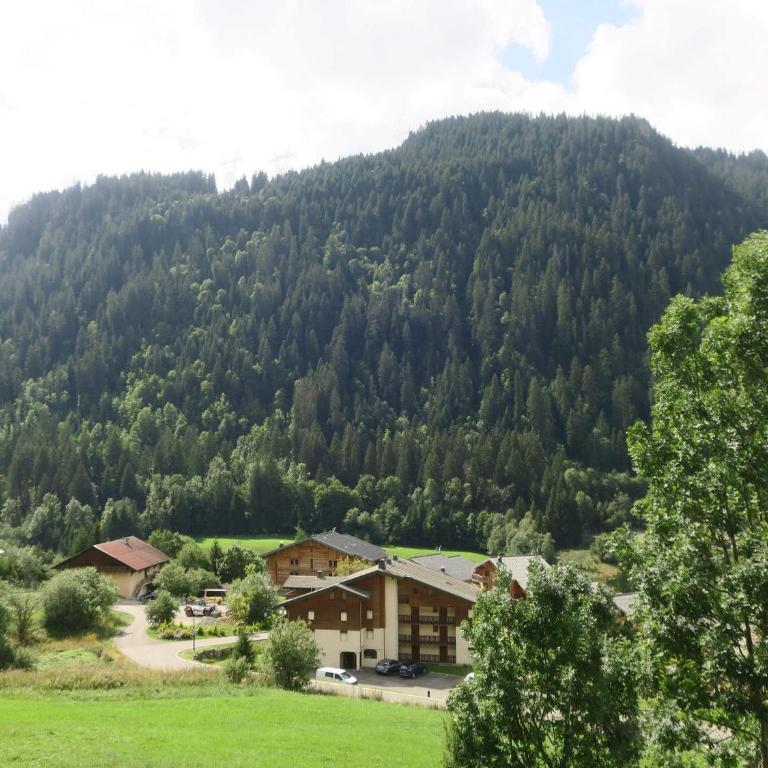 Studio cosy pour 4 pers, vue imprenable et parking, Châtel - FR-1-198-237 - Studio - 8
