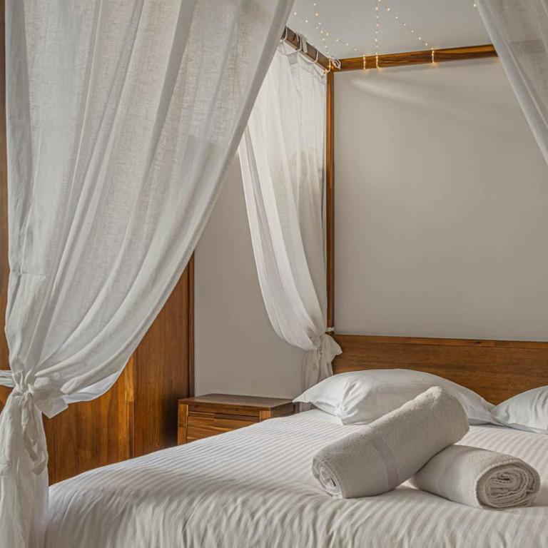 MYD - Studio Cocooning Végétal - Appartement 1 Chambre - 5