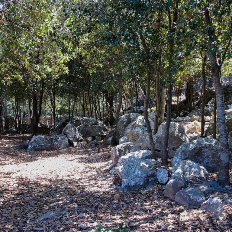 Pollensa - 4062-90 Mallorca - Casa - 19