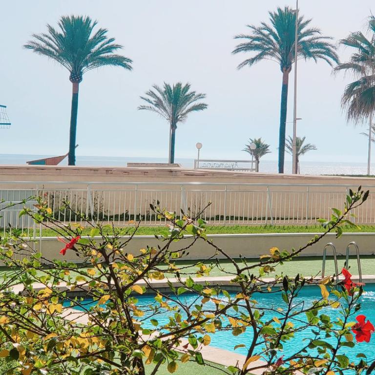 Aguamarina Gandia - Apartamento de 3 dormitorios - 21