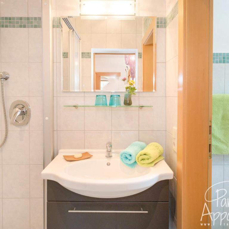 Panorama Appartement inklusive Schladming Dachstein Freizeitcard - Apartment mit 1 Schlafzimmer - 29