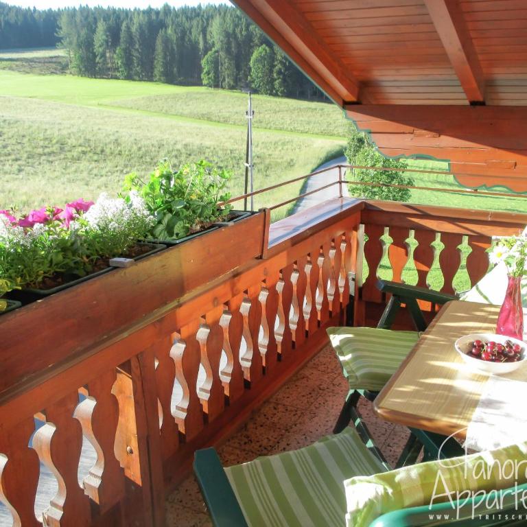 Panorama Appartement inklusive Schladming Dachstein Freizeitcard - Apartment mit 1 Schlafzimmer - 33