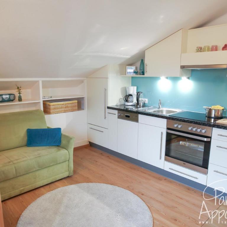 Panorama Appartement inklusive Schladming Dachstein Freizeitcard - Apartment mit 1 Schlafzimmer - 44