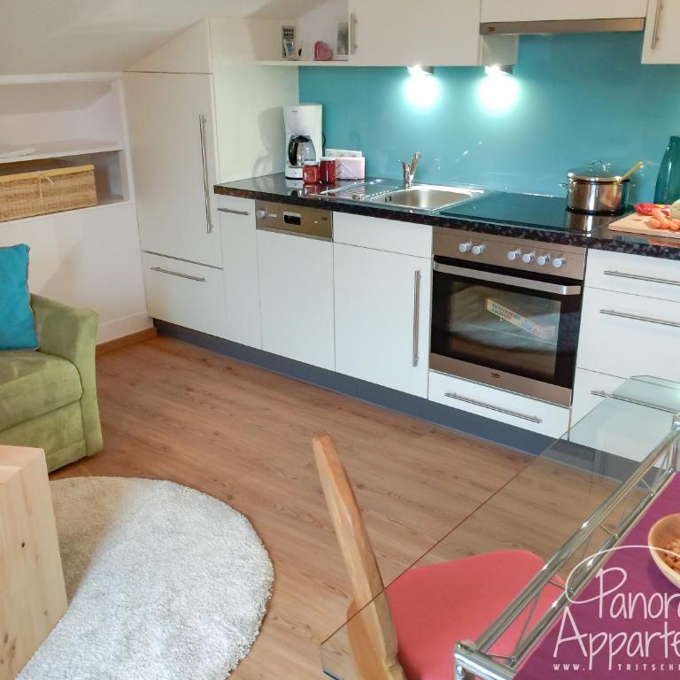 Panorama Appartement inklusive Schladming Dachstein Freizeitcard - Apartment mit 1 Schlafzimmer - 42