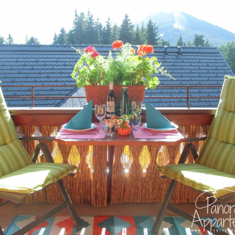 Panorama Appartement inklusive Schladming Dachstein Freizeitcard - Apartment mit 1 Schlafzimmer - 45