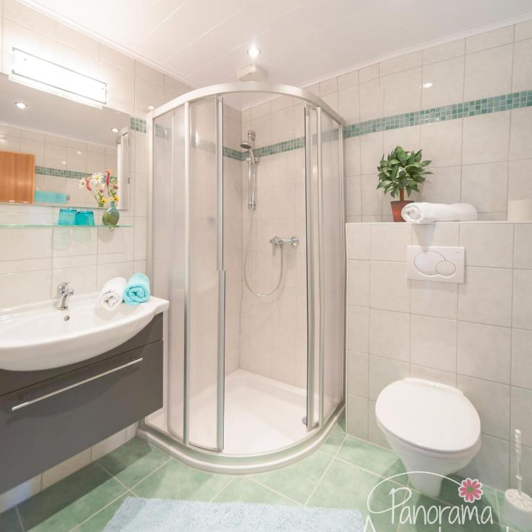 Panorama Appartement inklusive Schladming Dachstein Freizeitcard - Apartment mit 1 Schlafzimmer - 12