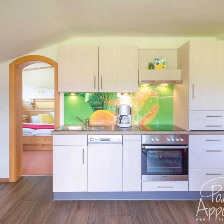 Panorama Appartement inklusive Schladming Dachstein Freizeitcard - Apartment mit 1 Schlafzimmer - 5