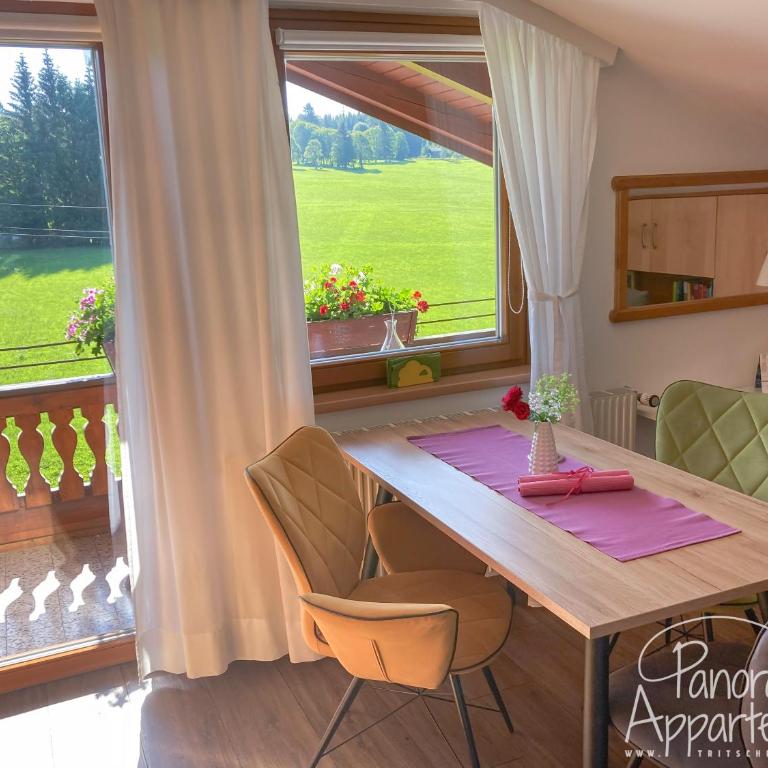 Panorama Appartement inklusive Schladming Dachstein Freizeitcard - Apartment mit 1 Schlafzimmer - 11