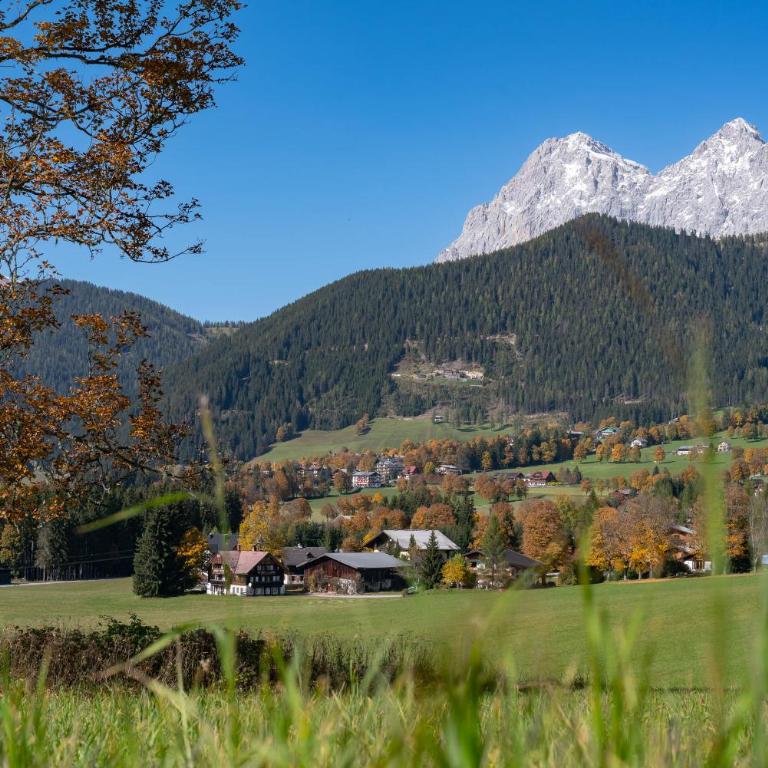 Panorama Appartement inklusive Schladming Dachstein Freizeitcard - Apartment mit 1 Schlafzimmer - 35