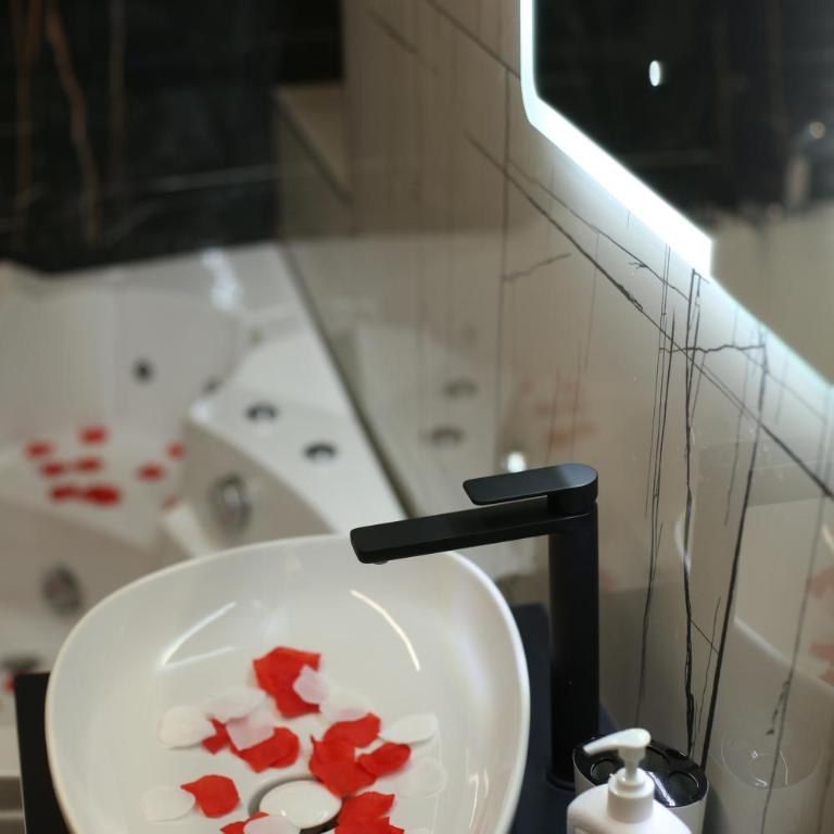 FINE STORY LUX apartment Belgrade - JACUZZI & WiFi & NETFLIX & Mini BAR - Apartman sa 1 Spavaćom Sobom - 15