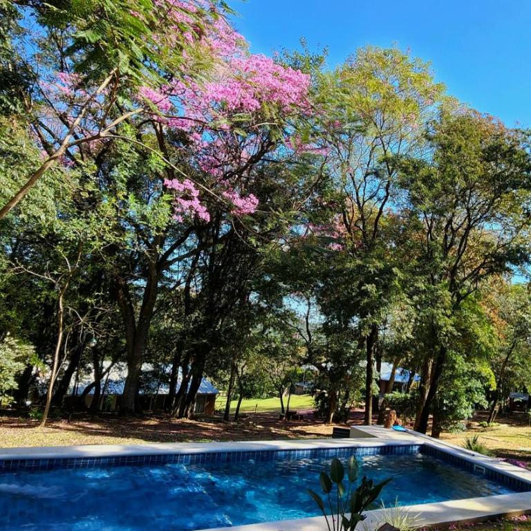 Vista Alegre Natural Resort - Villas & Cabañas - Villa de 3 dormitorios - 3