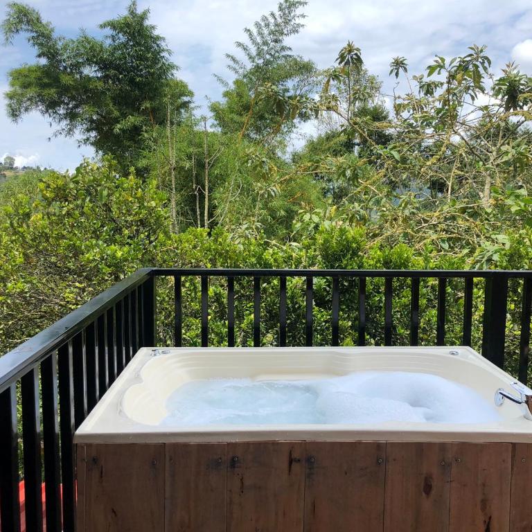 Cabaña tipo glamping en finca cafetera con zonas verdes, avistamiento de aves, paisaje cafetero - Chalet de 1 dormitorio - 1
