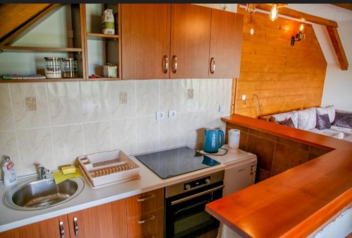 Villa Breza - One-Bedroom Apartment - 24
