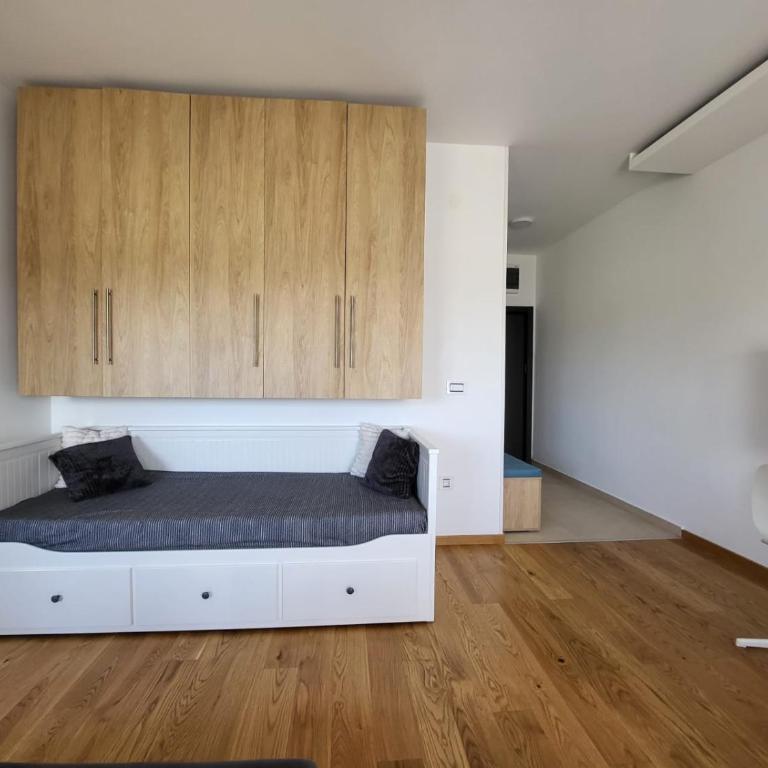 Suri 5 Zlatibor - Studio - 8