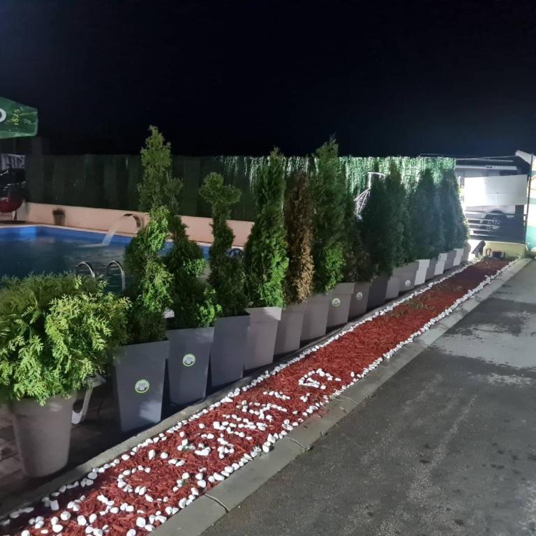 Suri 5 Zlatibor - Studio - 22