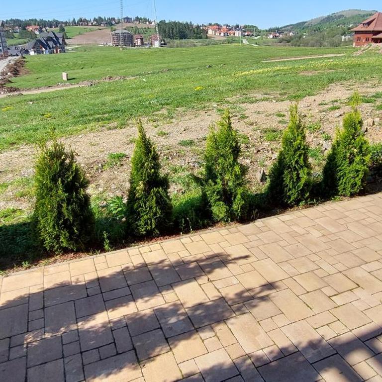 Suri 5 Zlatibor - Studio - 16