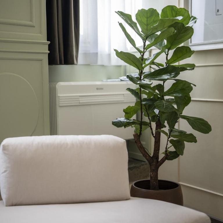 MBA Suite - Maggio Boutique Apartment - Appartamento Superior - 28