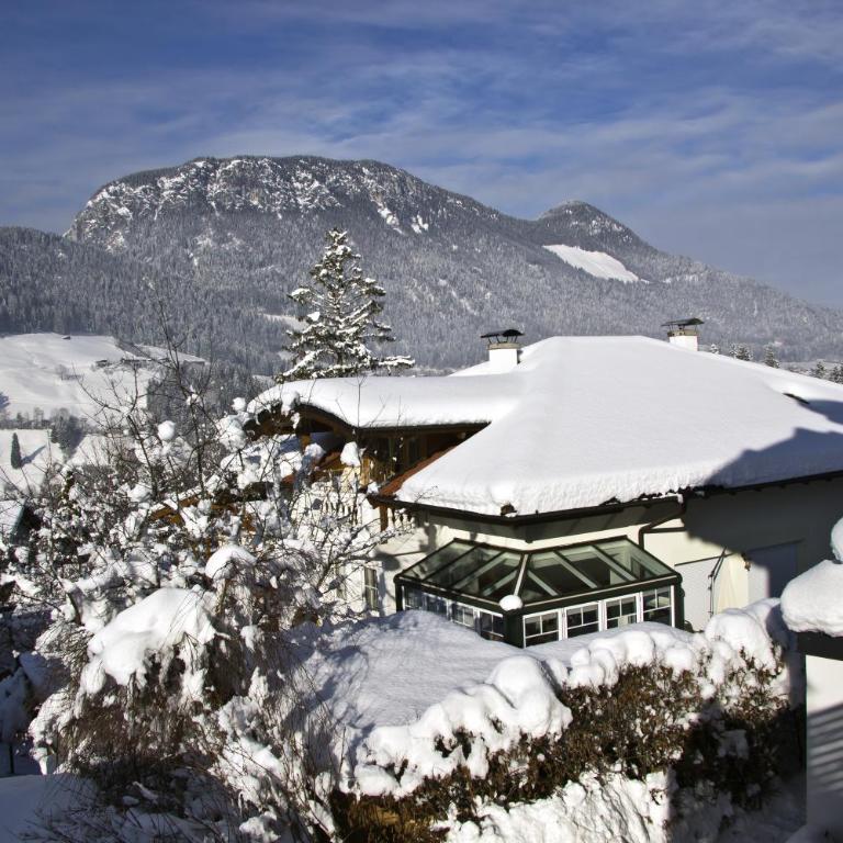 Haus Schrettl Hintergrünholz - Estudio con vistas a las montañas - 2