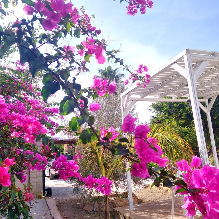 Finca él Aulagar - Casa de 4 dormitorios - 21