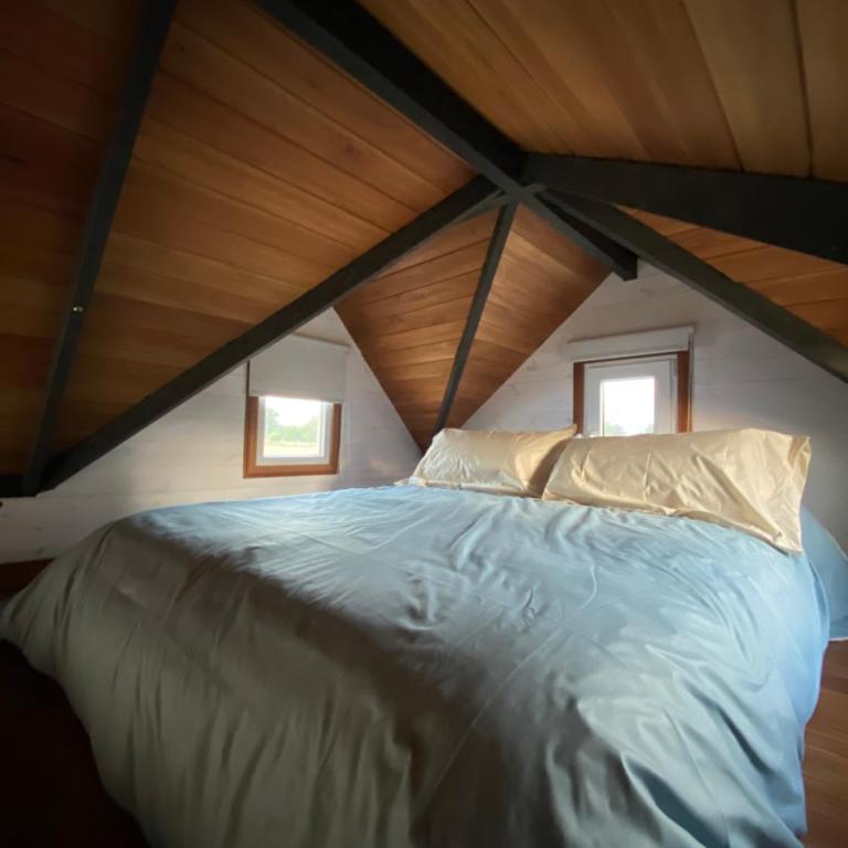 Tiny House, La Candelaria - Casa con 1 dormitorio - 5