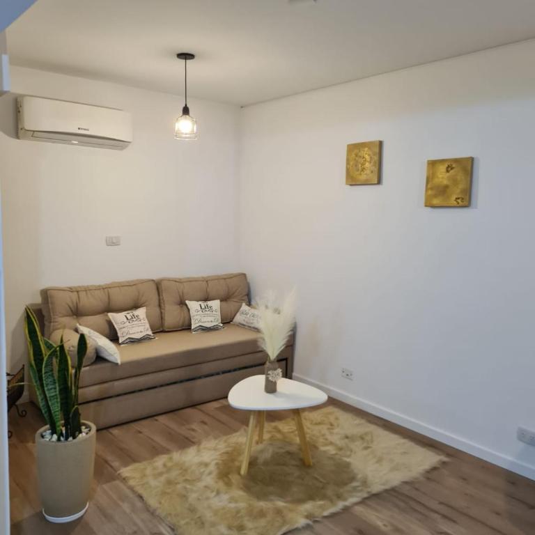 Departamento amoblado microcentro del alto - Apartamento de 1 dormitorio - 2