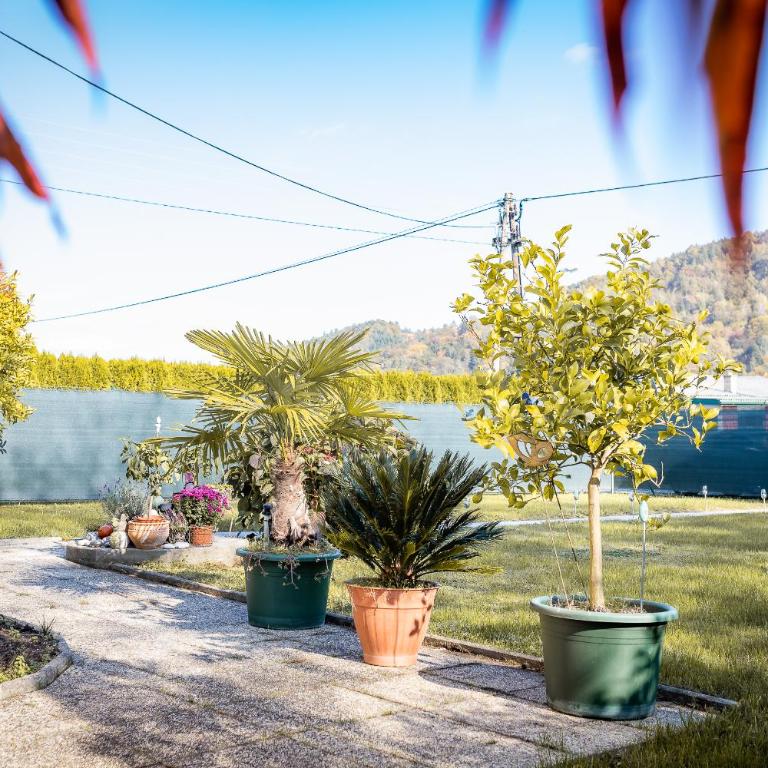 Ferienhaus Sausalblick - Ferienhaus - 79