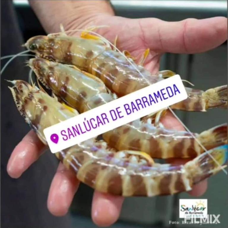 Piso de dos dormitorios en el centro de Sanlúcar de Barrameda - Apartamento de 2 dormitorios - 13