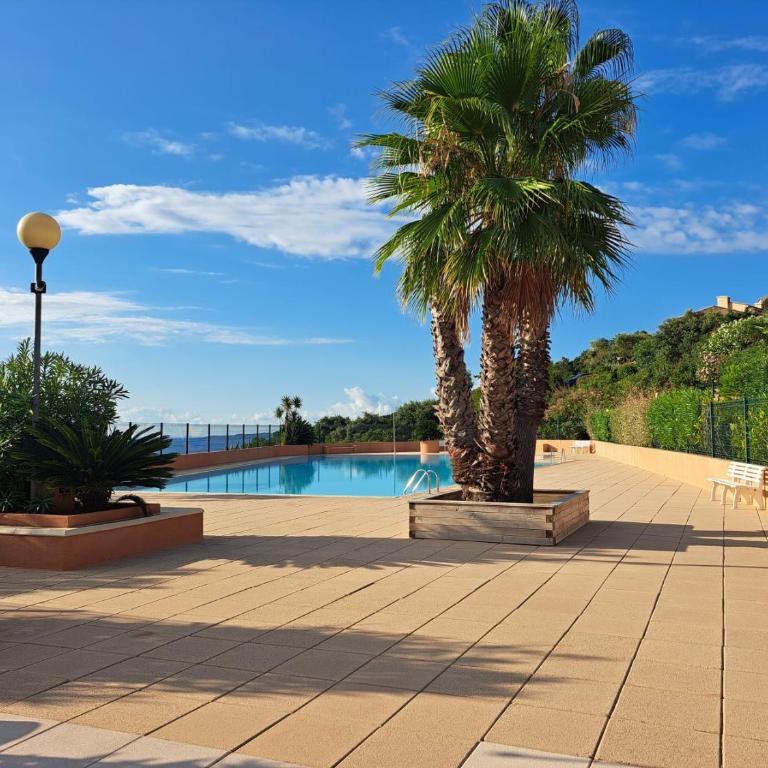 APPARTEMENT CLIMATISÉ AVEC TERRASSE ET APERÇU MER - Golfe de Saint-Tropez - Appartement 1 Chambre - 5