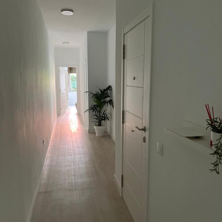 Tantulia Callao 57 Aptartamento 5hab centro de la capital en tenerife - Apartamento - 24