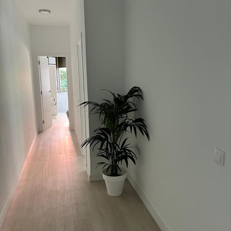 Tantulia Callao 57 Aptartamento 5hab centro de la capital en tenerife - Apartamento - 28
