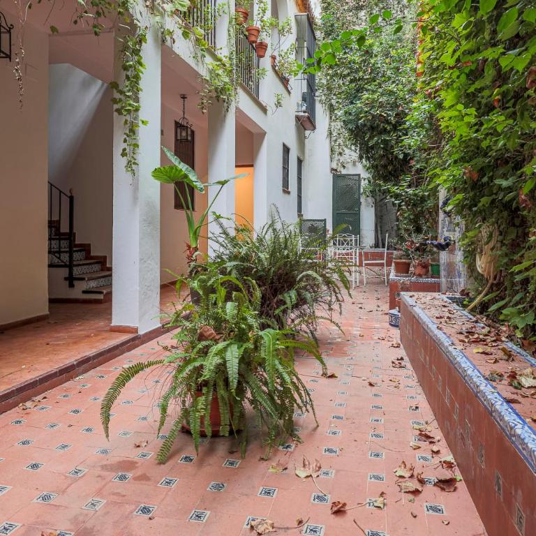 Susona - Oasis de paz en barrio Santa Cruz - Apartamento - 3