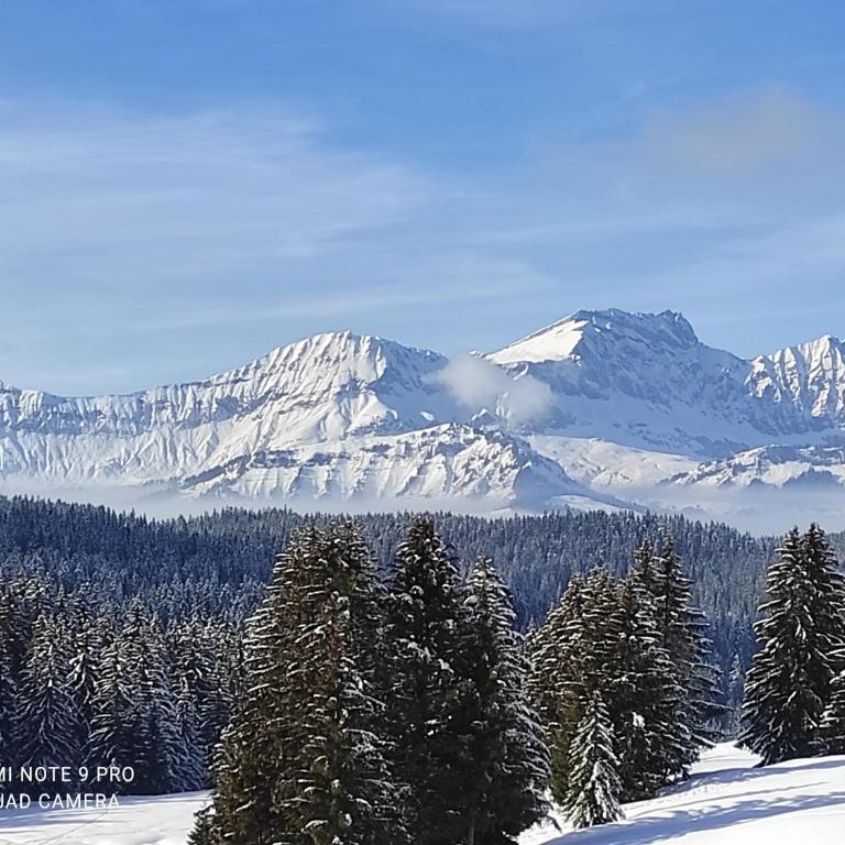Résidence Chalet des Coeurs - Appartamento su 2 Livelli - 29