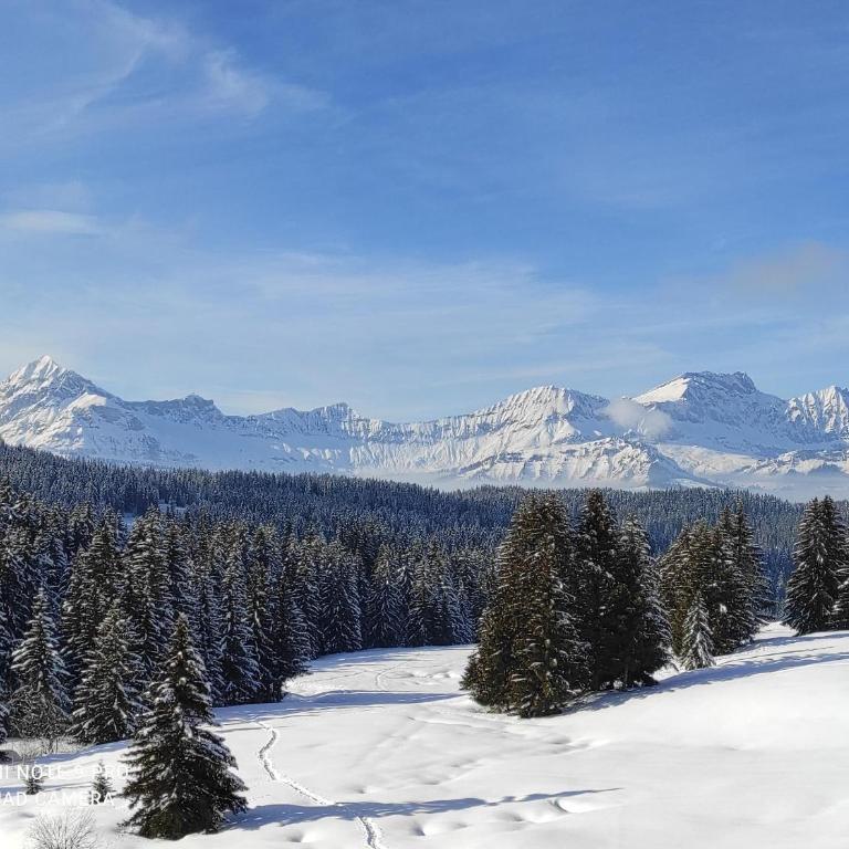 Résidence Chalet des Coeurs - Appartamento su 2 Livelli - 30