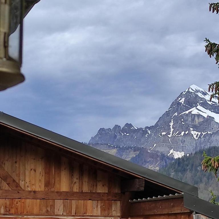Résidence Chalet des Coeurs - Appartamento su 2 Livelli - 28