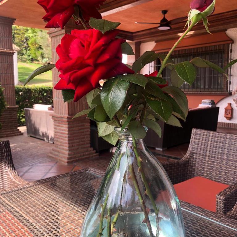 Authentic Andalucia - Villa - 42