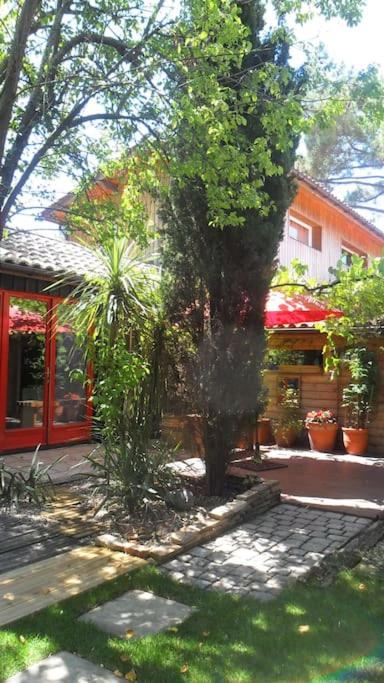 maison de vacances - Haus mit 6 Schlafzimmern - 32